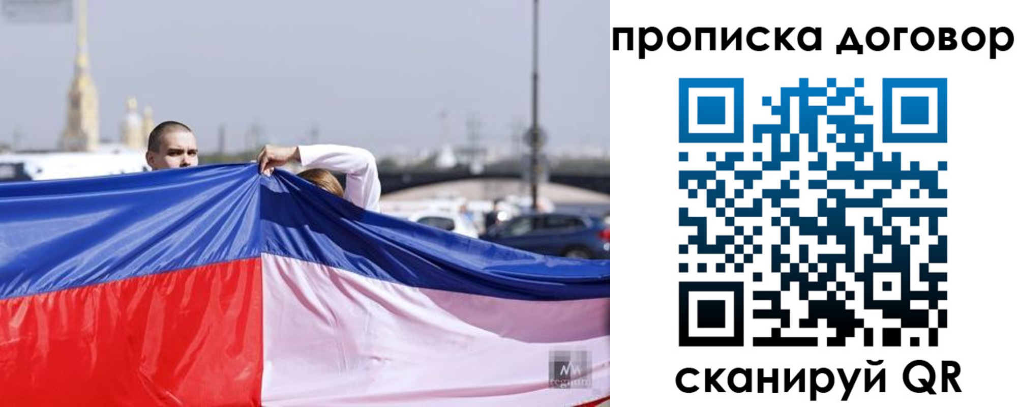 прописка гарантия в Ельне