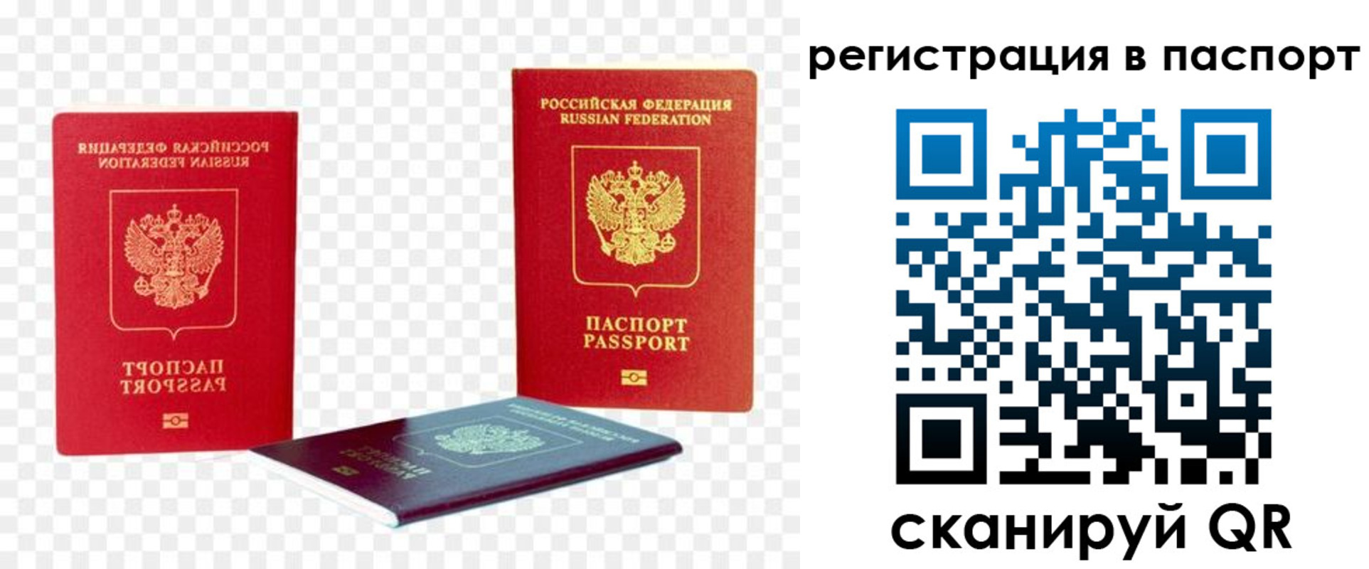временная регистрация поиск в Ельне